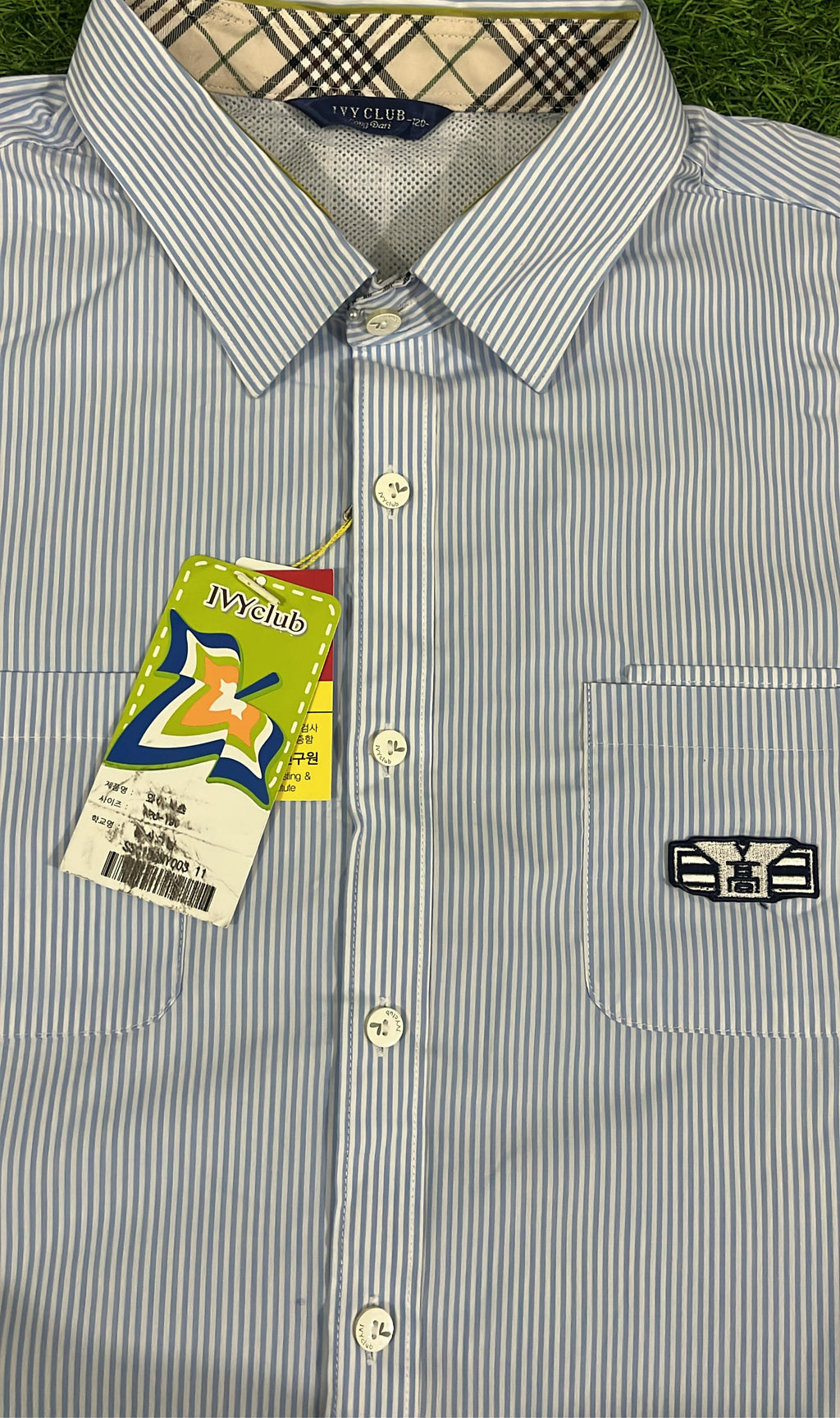 Ivy Club Blue Pinstripe Short-Sleeve Shirt
